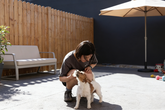 Why Regular Pet Cleaning Matters & How Our Complete Cleaning Sets Make It Effortless