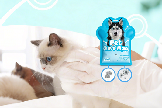 Why Regular Grooming is Essential for Your Dog’s Well-being Beyond Beauty