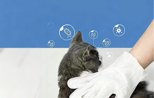 Complete Dog Cleaning Guide: 20 Expert Answers for Waterless Pet Care