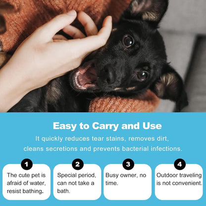 Pet No-Rinse Glove Wipes