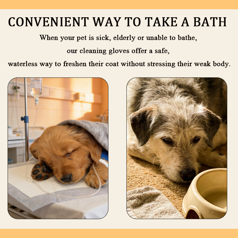 Large No-Rinse Pet Glove - Quick Clean in 30 Seconds