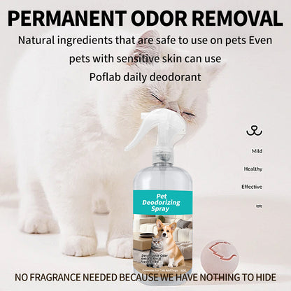 Complete Pet Cleaning Kit - Paw Foam, Deodorizer Spray, Ear & Eye Cleaning Set