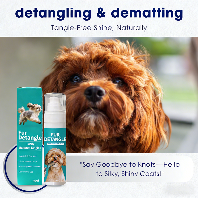 Daily Clean & Coat Routine