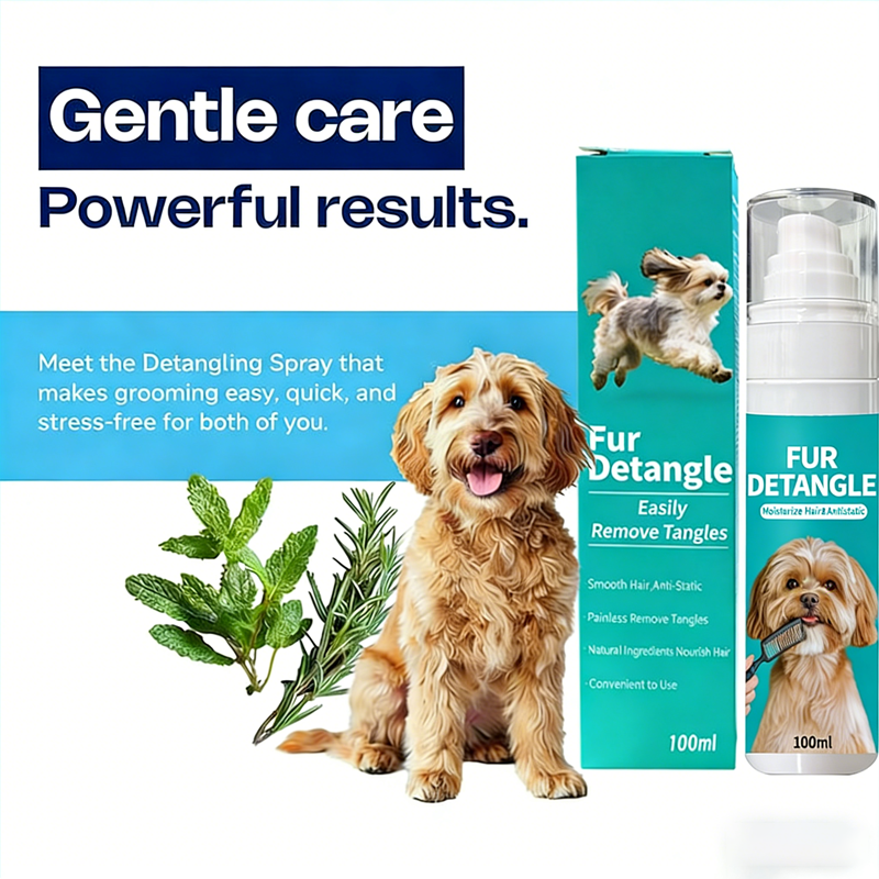 Daily Clean & Coat Routine