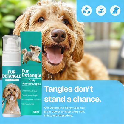 Daily Clean & Coat Routine