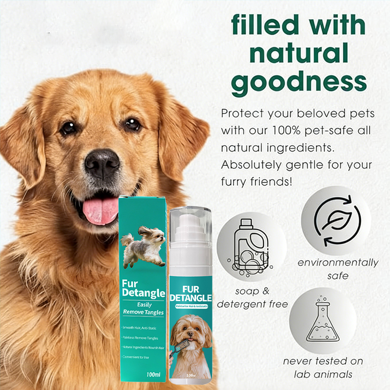 Daily Clean & Coat Routine