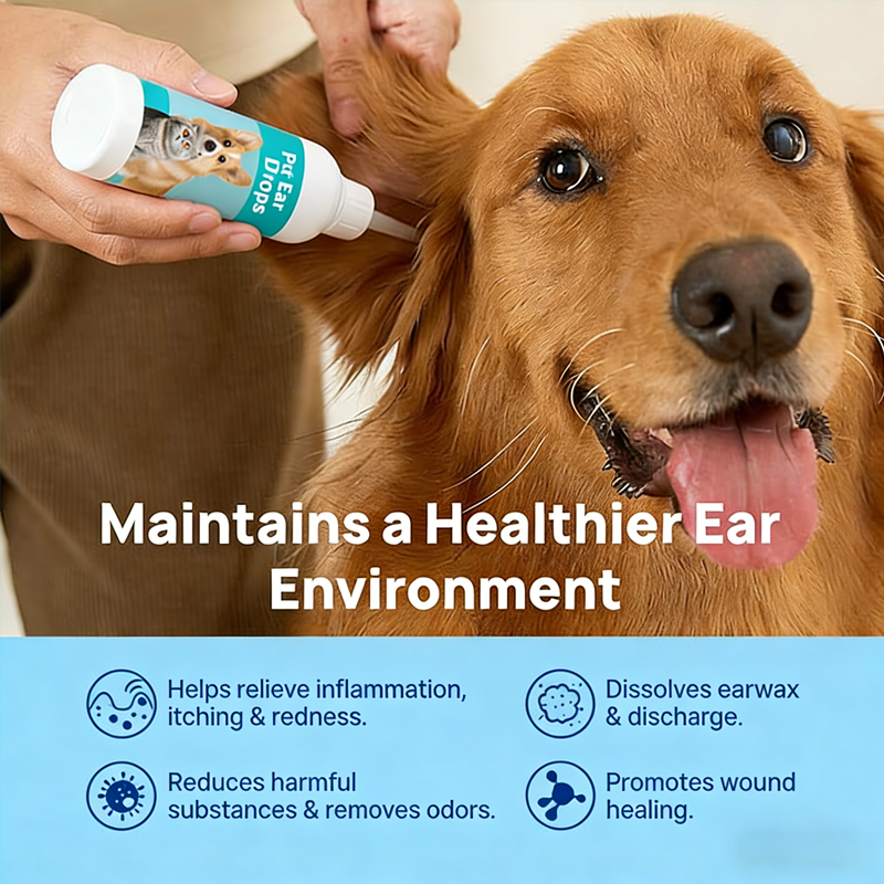 Daily Ear & Dental Routine