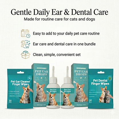 Daily Ear & Dental Routine